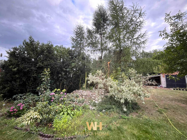 Dom Zielonka, Wiejska