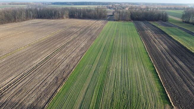 Działka (1182 m2) z WZ w Jabłonowie gm. Policzna.