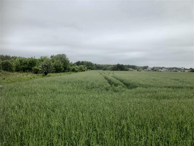Działka budowlana Dębogórze gm. Kosakowo, Jana Chryzostoma Paska