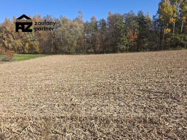 Działka budowlana Bodzanów gm. Biskupice