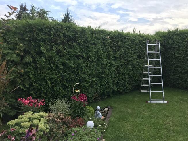 Świąteczne porządkowanie ogrodu