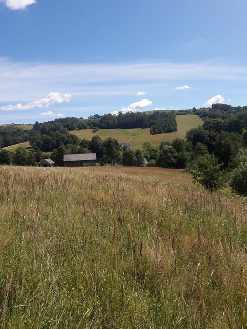 Sprzedam gospodarstwo