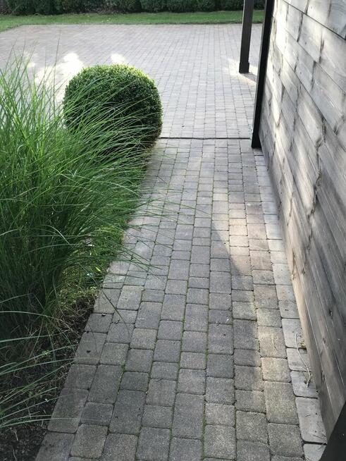 Świąteczne porządkowanie ogrodu