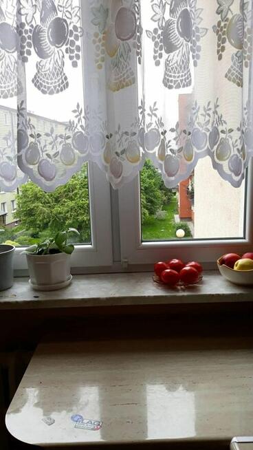 Atrakcyjne i słoneczne 2 pokojowe, 36 m2 - Hrubieszów