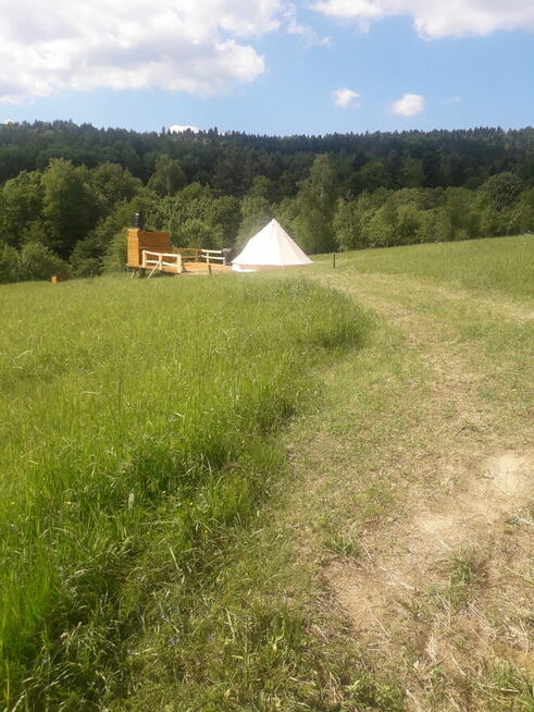 Sprzedam gospodarstwo