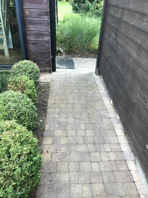 Świąteczne porządkowanie ogrodu