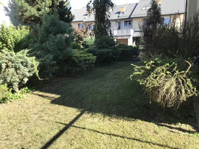 Świąteczne porządkowanie ogrodu