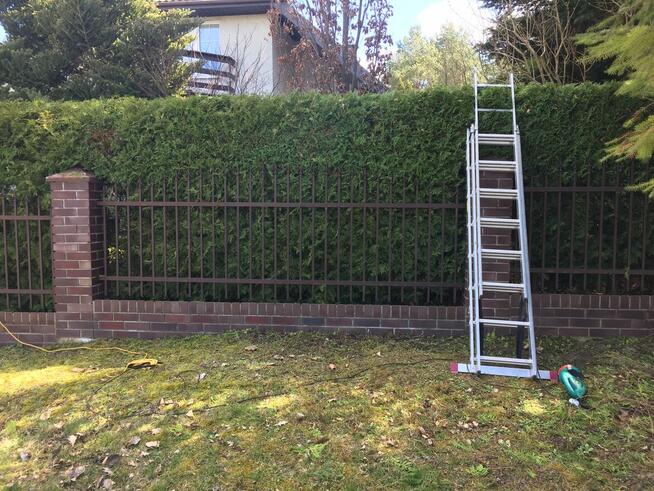 Świąteczne porządkowanie ogrodu