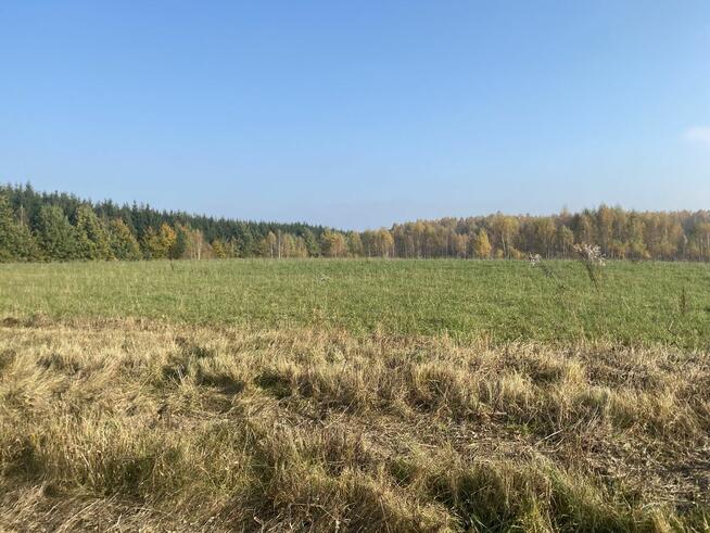 Działka budowlana Gady 30 arów