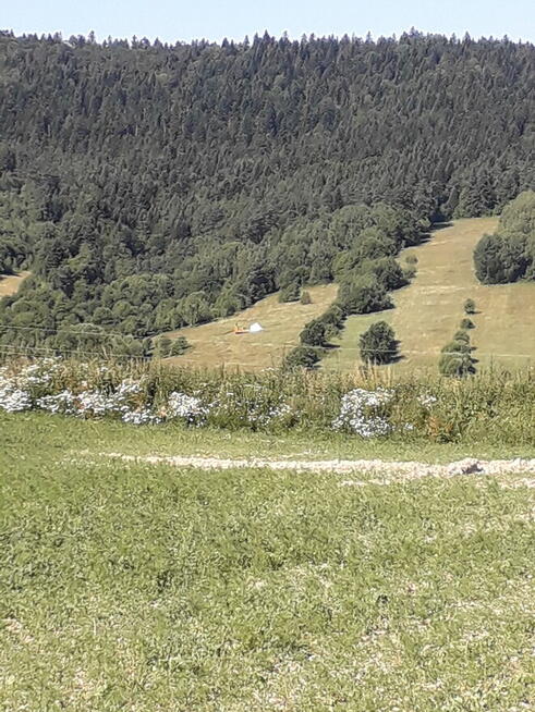 Sprzedam gospodarstwo