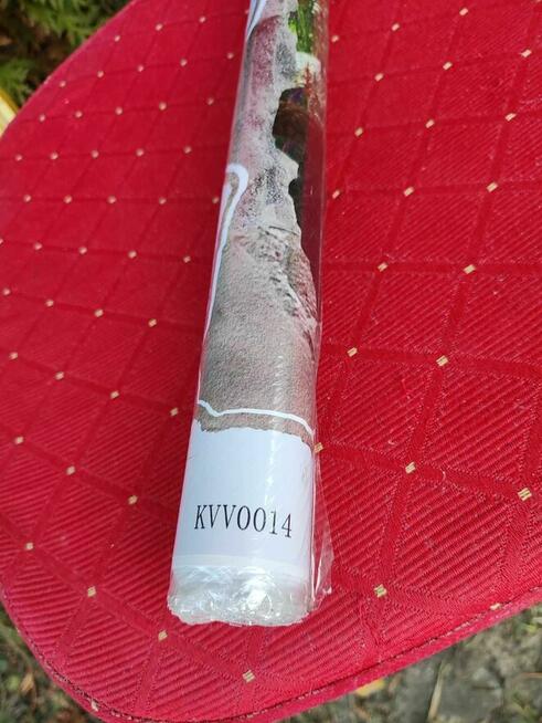 Naklejka Ścienna Dinozaury na ścianę tapeta samoprzylepna