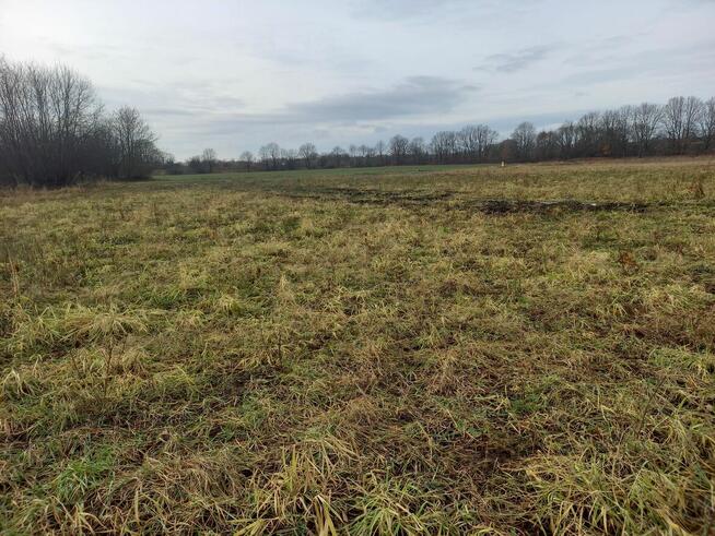 działka inwestycyjna przy S1