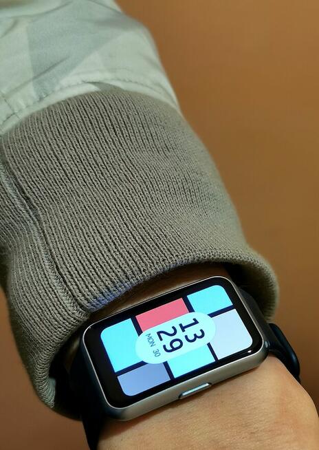 Smartwach Huawei Watch Fit 1 SE Trzy Paski Etui 1 Właściciel