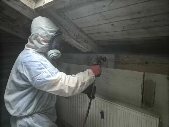 zwalczanie szkodników drewna Xilix Gel