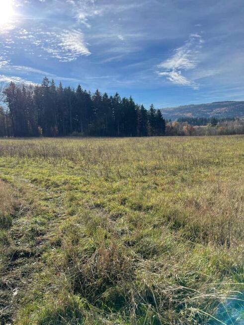 patrykbudzynski88@gmail.com