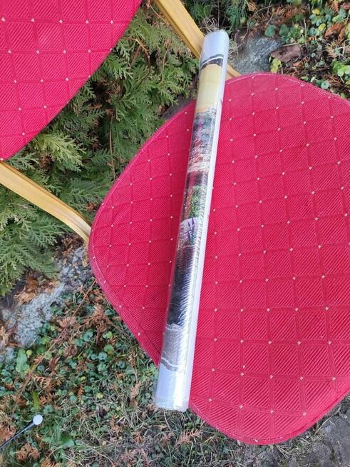 Naklejka Ścienna Dinozaury na ścianę tapeta samoprzylepna