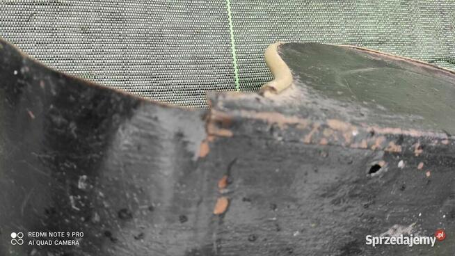 Osłona na nogi WSK WFM SHL