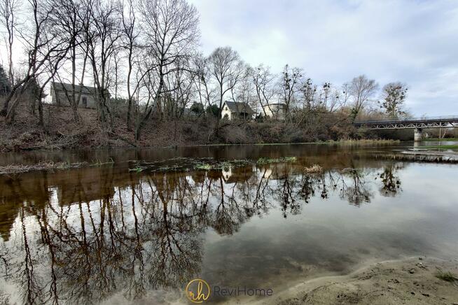 Działka leśna Joniec, Wiekowej Sosny
