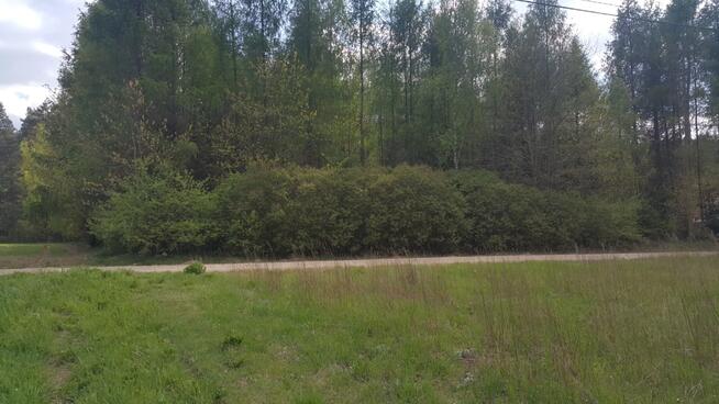 Działka budowlana z WZ,gm. Rajgród, pow. grajewski