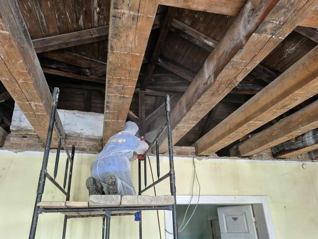 zwalczanie szkodników drewna Xilix Gel