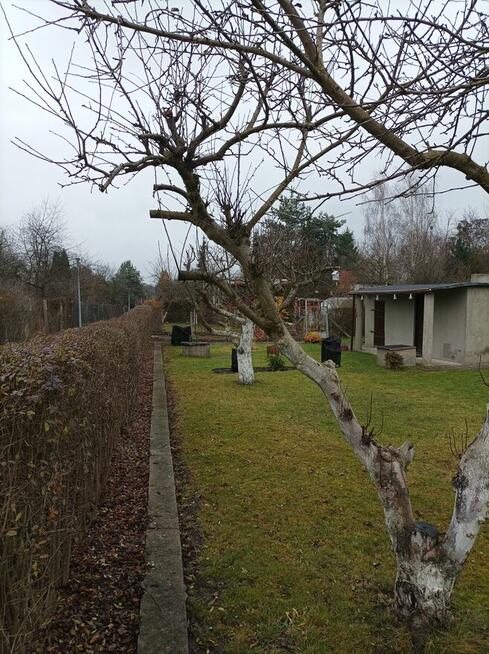 Działka ROD 1-go Maja w Gliwicach