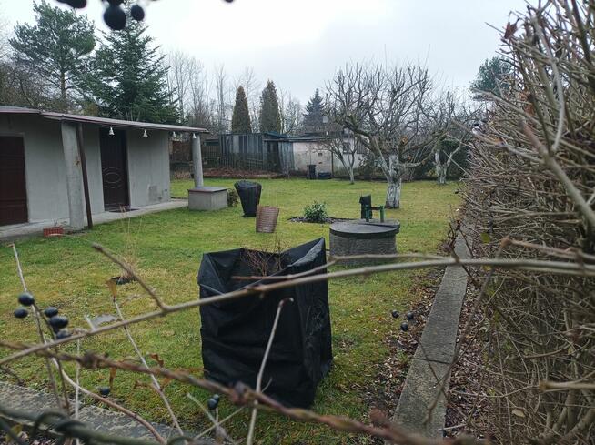 Działka ROD 1-go Maja w Gliwicach