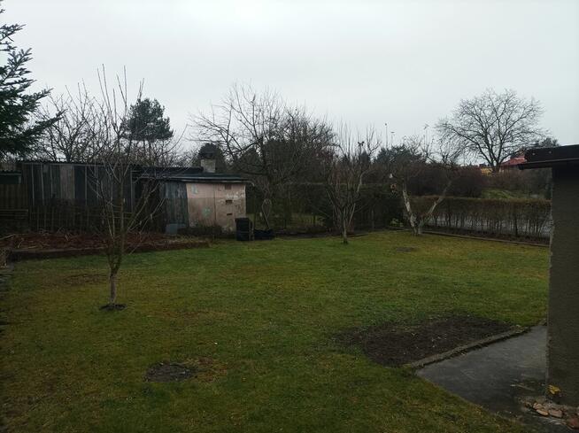 Działka ROD 1-go Maja w Gliwicach