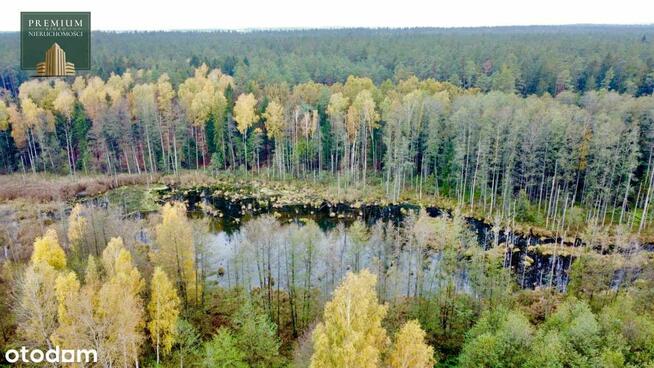 Działka budowlana - z linią brzegową i własnym lasem!