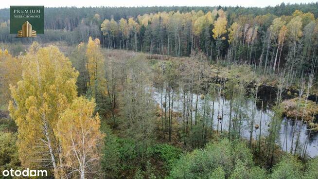Działka budowlana - z linią brzegową i własnym lasem!