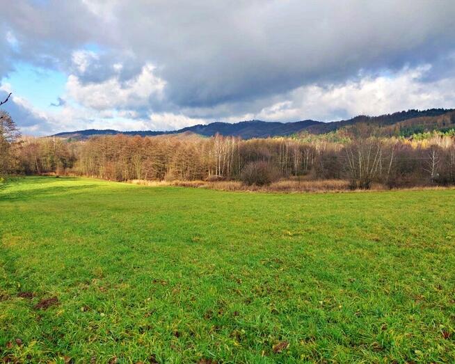 Na sprzedaż działka budowlana po podziale – 16 ar – Załuż, p