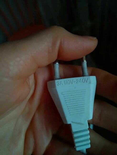 Drzewko świetlne, wierzba