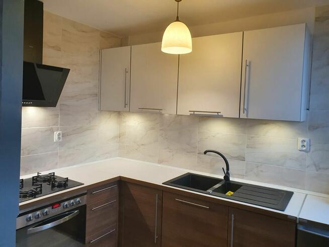 Do wynajęcia mieszkanie w Czeladzi