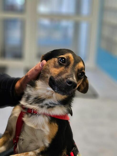 Uroczy Julianek kocha wszystkich. Czas by ktoś pokochał jego