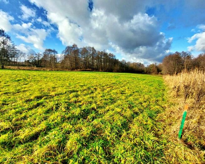 Na sprzedaż działka budowlana po podziale – 16 ar – Załuż, p
