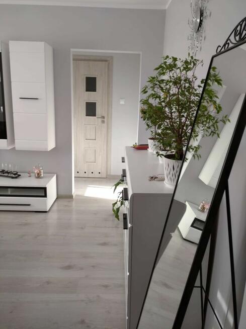 2-pokojowe mieszkanie na Błoniu po remoncie 35,30 m2