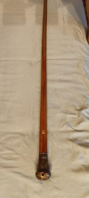 Laska z XIX ,,XX,, WIEK