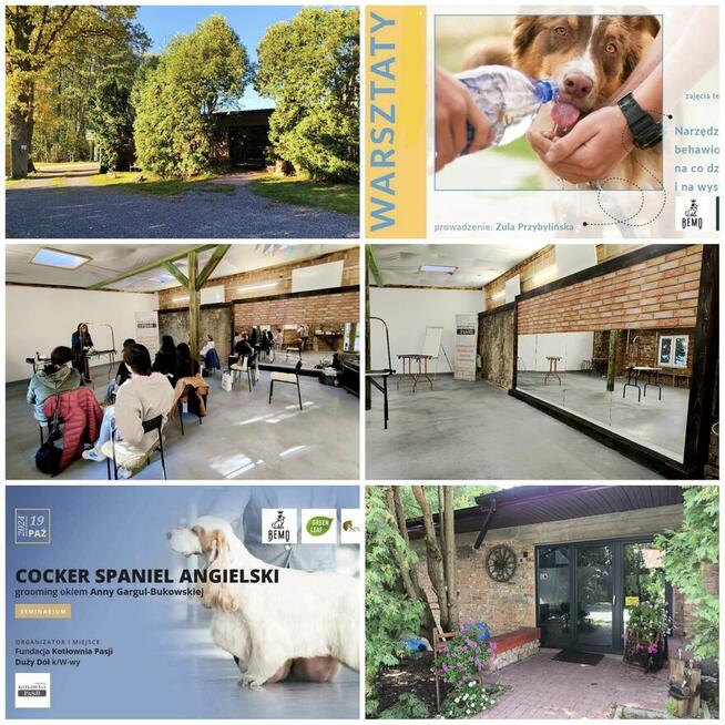 Home assistant! Zajęcia dla młodzieży pod W-wą!