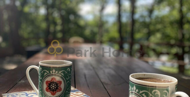 Dom Jarosławki gm. Książ Wielkopolski,