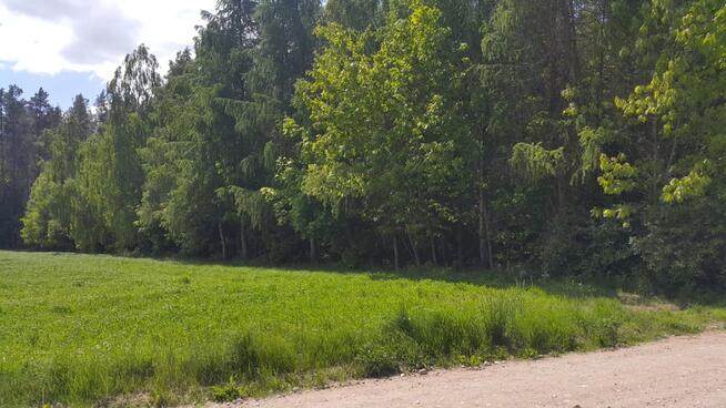 Działka budowlana z WZ,gm. Rajgród, pow. grajewski