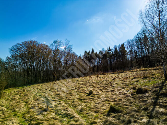 Dwie działki budowlane blisko lasu, spokój i cisza