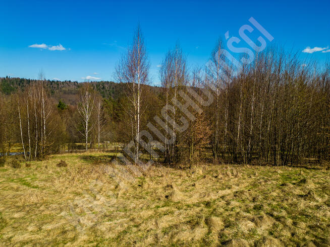 Dwie działki budowlane blisko lasu, spokój i cisza