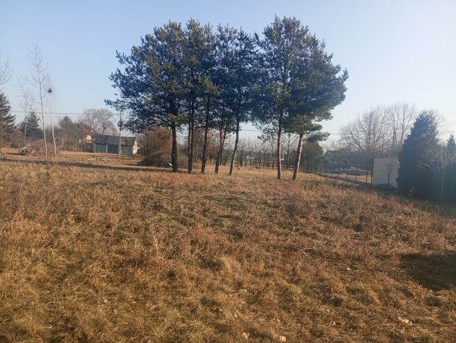 Działka Lipówki gm. Pilawa