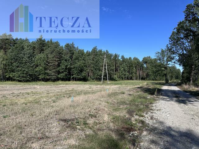 Działka budowlana Borucza gm. Strachówka