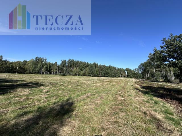 Działka budowlana Borucza gm. Strachówka