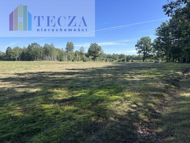 Działka budowlana Borucza gm. Strachówka