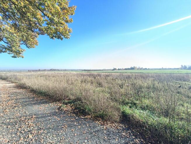 Działka budowlana Gliwice, Kozielska