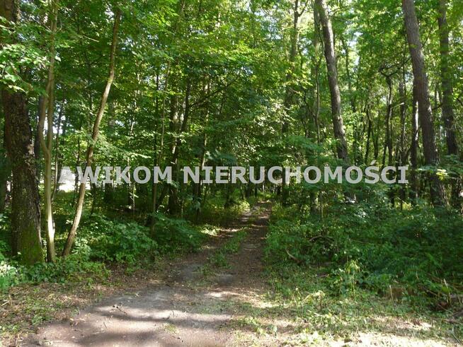 Działka siedliskowa Olszanka gm. Puszcza Mariańska