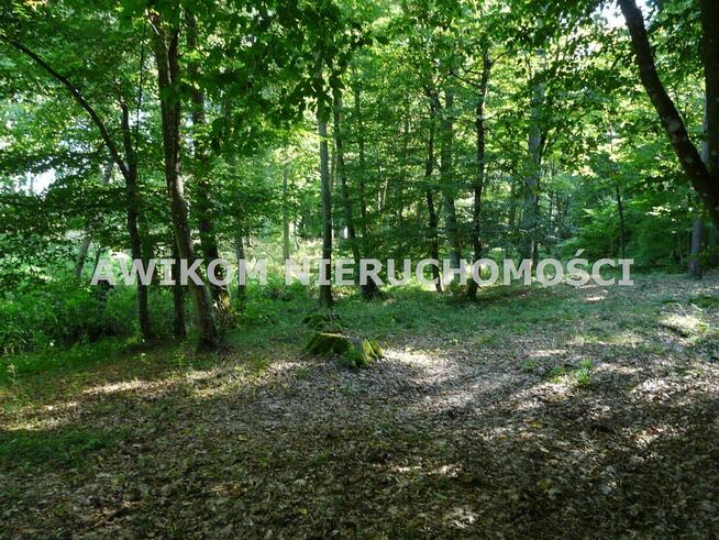 Działka rolna Ziemiary gm. Bolimów