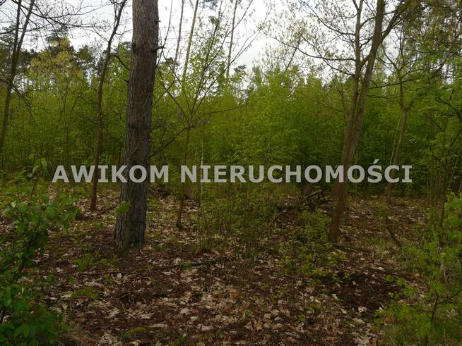 Działka siedliskowa Joachimów-Mogiły gm. Bolimów