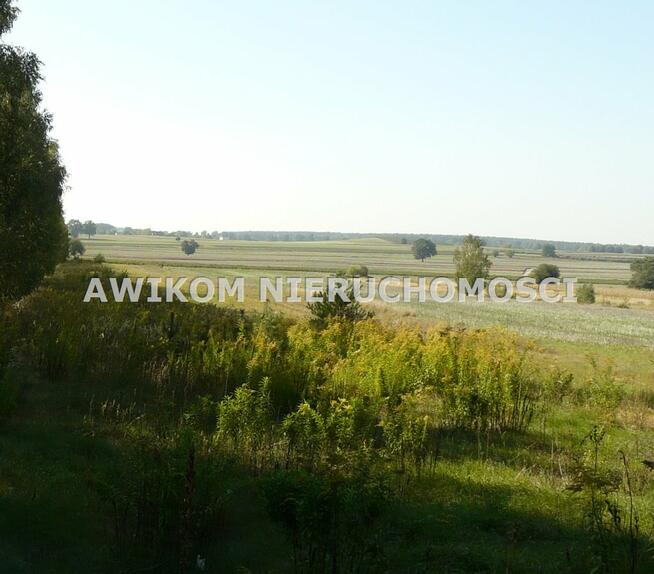 Działka leśna Przewodowice gm. Rawa Mazowiecka